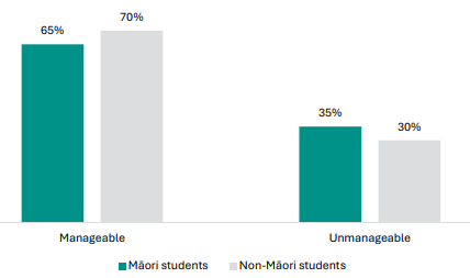 Figure 80 is a graph showing MÄori and non-MÄori student views on whether their NCEA Level 1 assessment workload is manageable. 65% of MÄori students report their NCEA Level 1 assessment workload is manageable, 70% of non-MÄori students report the same. 35% of MÄori students report their NCEA Level 1 assessment workload is unmanageable, 30% of non-MÄori students report the same.